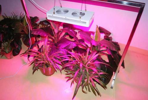 led灯珠型号一览表